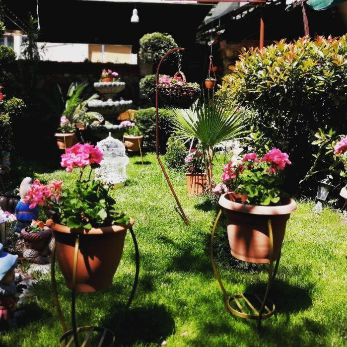 ホテルGala-Garden ビトラ エクステリア 写真